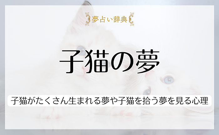 子猫の夢は愛情が欲しい暗示？子猫がたくさん生まれる夢や子猫を拾う夢を見る心理