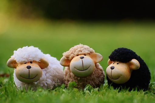 【色別・男女別】動物占いがひつじの人の特徴・性格・恋愛・仕事