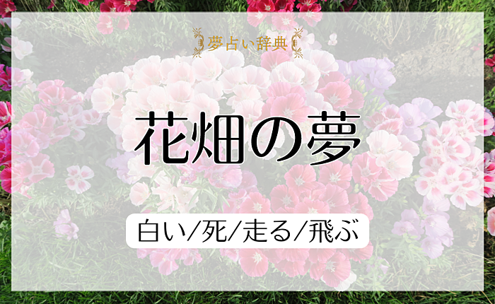 花畑の夢の意味と心理｜白い/死/走る/飛ぶ【夢占い】