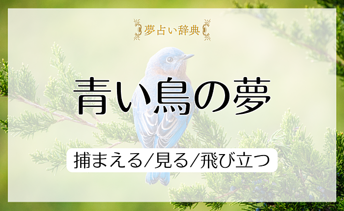 青い鳥の夢の意味と心理｜捕まえる/見る/飛び立つ【夢占い】