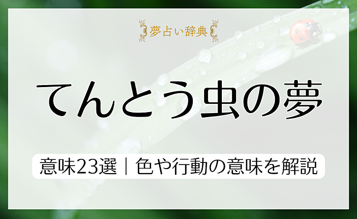【シーン別】てんとう虫の出てくる夢の意味23選｜色や行動の意味を解説