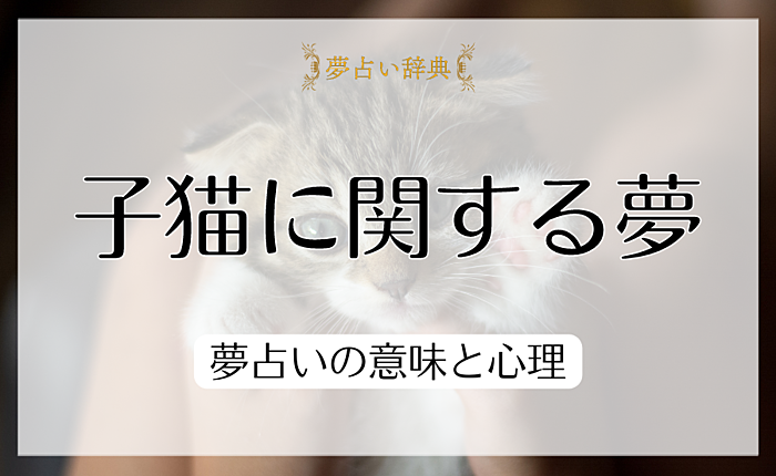 【状況・状態別】子猫に関する夢を見たときの夢占いの意味と心理