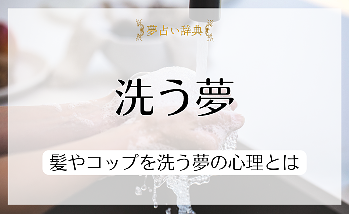 【夢占い】洗う夢があらわすのは心の浄化？髪やコップを洗う夢の心理とは