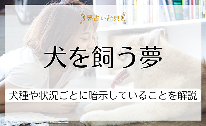 犬を飼う夢を見る意味って？犬種や状況ごとに暗示していることを解説
