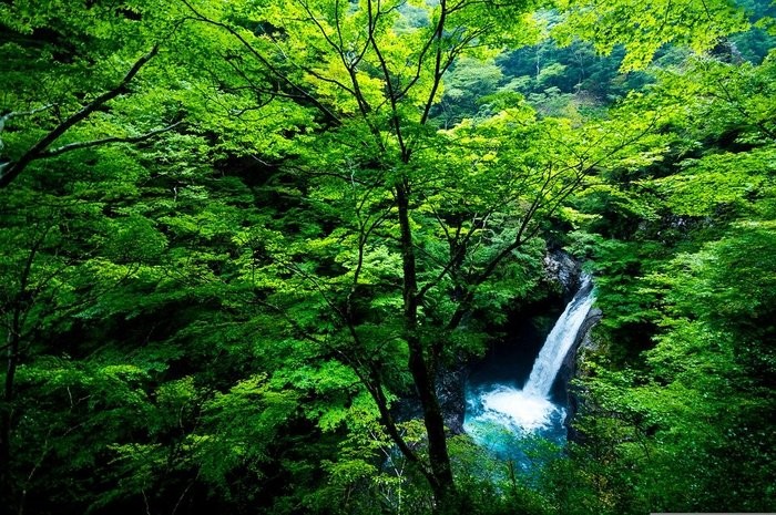 ツインレイとは？特徴や見分け方・出会う為にできることを紹介！
