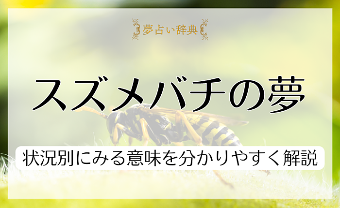 スズメバチの夢が暗示している意味とは？状況別にみる意味を分かりやすく解説