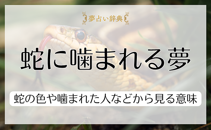 蛇に噛まれる夢の意味とは？蛇の色や噛まれた人などから見る意味を解説