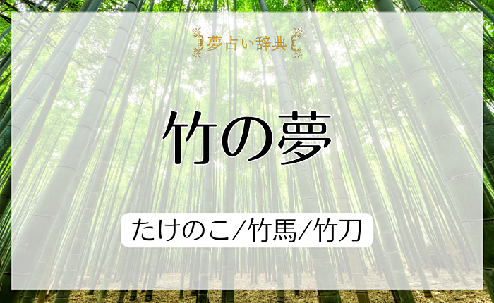 竹の夢の意味と心理｜たけのこ/竹馬/竹刀【夢占い】