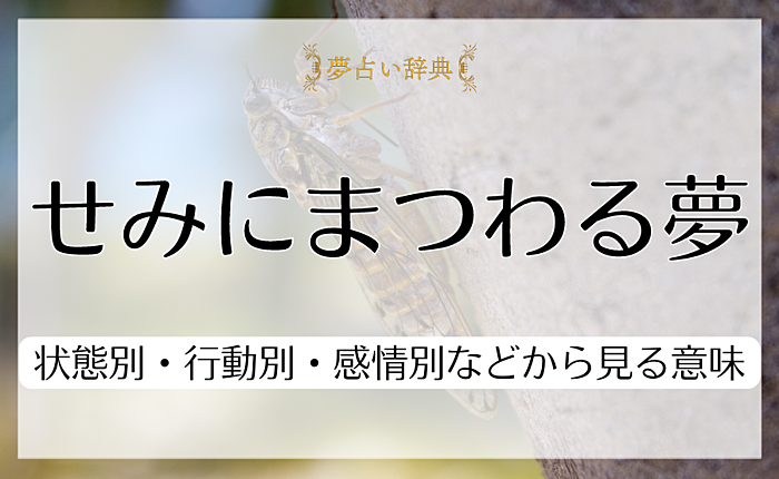 せみにまつわる夢占い｜状態別・行動別・感情別などから見る意味をそれぞれ解説