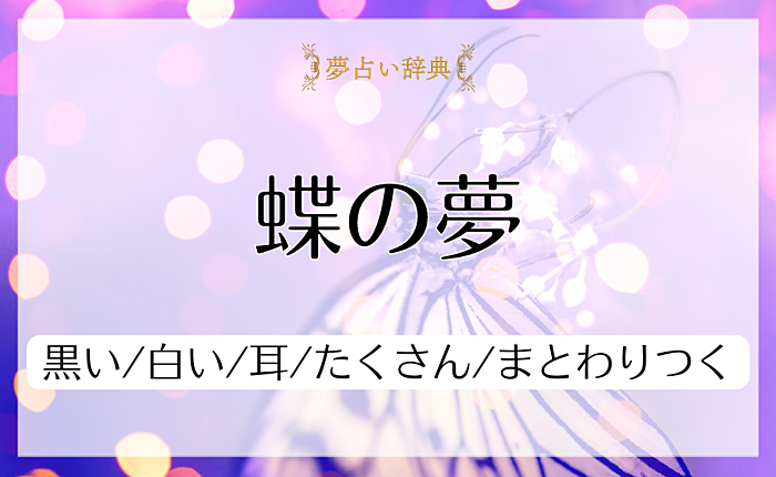 蝶の夢の意味と心理｜黒い/白い/耳/たくさん/まとわりつく【夢占い】