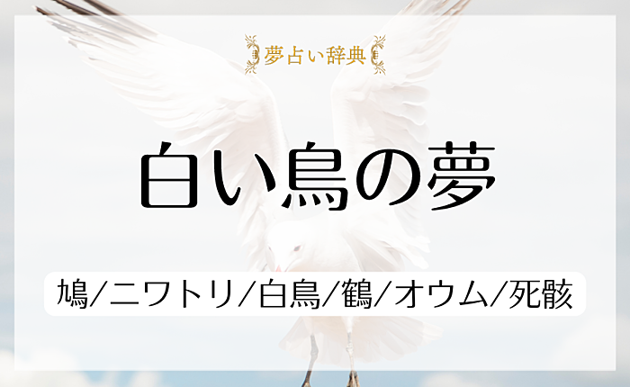 白い鳥の夢占いの意味と心理｜鳩/ニワトリ/白鳥/鶴/オウム/死骸