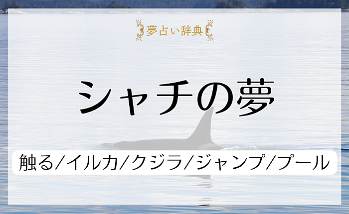 シャチの夢の意味と心理｜触る/イルカ/クジラ/ジャンプ/プール【夢占い】