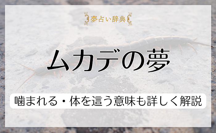 ムカデが夢に出てくる意味とは？噛まれる・体を這う意味も詳しく解説