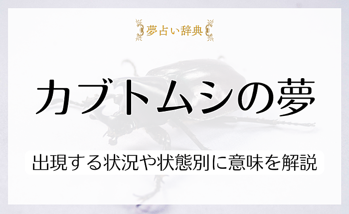 カブトムシの夢を見る意味とは？出現する状況や状態別に意味を詳しく解説