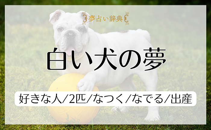 白い犬の夢の意味と心理｜好きな人/2匹/なつく/なでる/出産【夢占い】