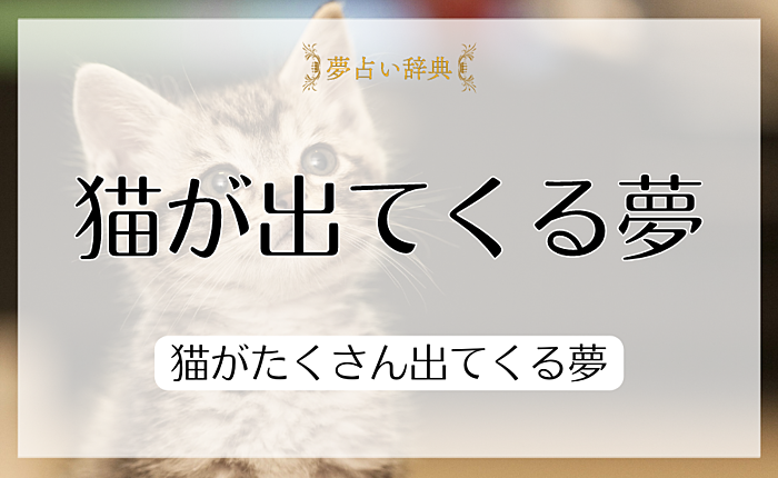 【夢占い】猫が出てくる夢の意味80選｜猫がたくさん出てくる夢