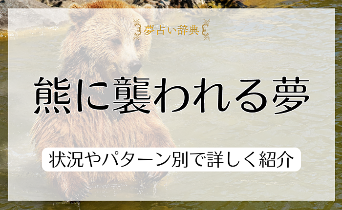 熊に襲われる夢が表している意味とは？状況やパターン別で詳しく紹介