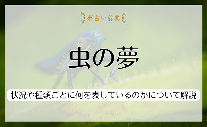 虫の夢の意味は？状況や種類ごとに何を表しているのかについて解説