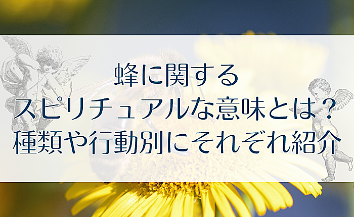 蜂に関するスピリチュアルな意味とは？種類や行動別にそれぞれ紹介