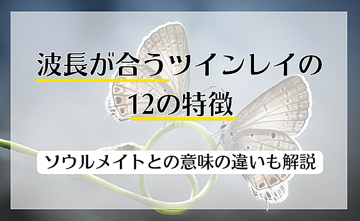 波長が合うツインレイの12の特徴｜ソウルメイトとの意味の違いも解説