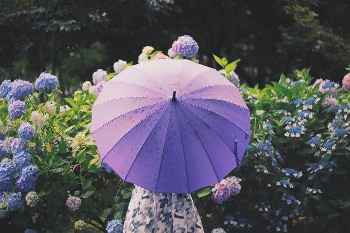 大雨の夢に表される意味とは？洪水になる・雷が鳴る場合などの意味を解説