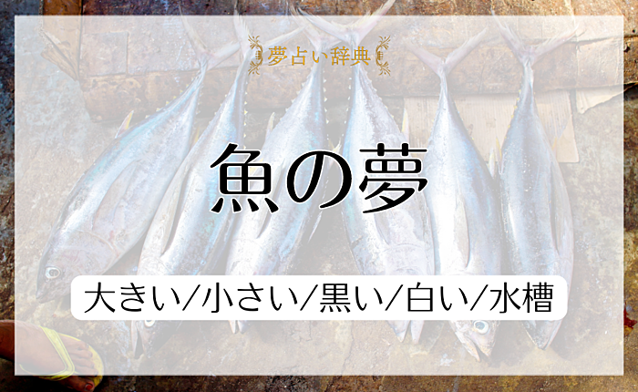 【夢占い】魚の夢の意味と心理｜大きい/小さい/黒い/白い/水槽