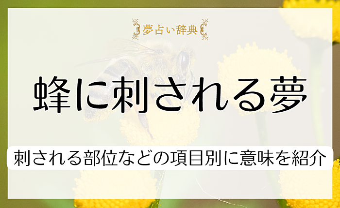 蜂に刺される夢を見ると宝くじが当たる？刺される部位などの項目別に意味を紹介