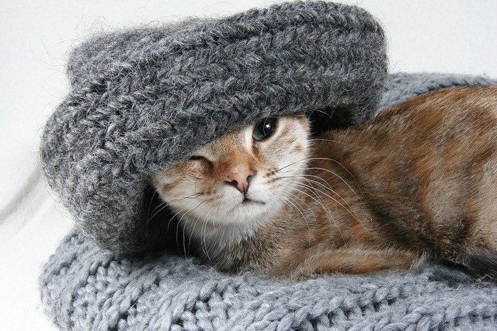 猫かぶるとは・猫かぶる男女の特徴・猫かぶるのに疲れたとき
