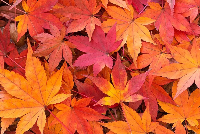 10月10日生まれの人の特徴/性格/運勢｜相性の良い/良くない誕生日の人は？