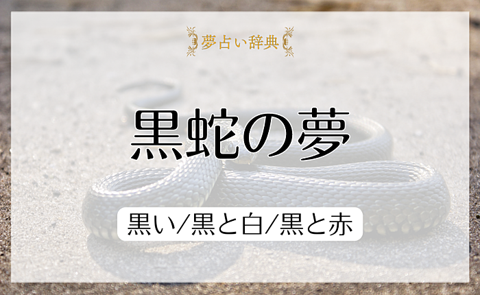黒蛇の夢の意味と心理｜黒い/黒と白/黒と赤【夢占い】
