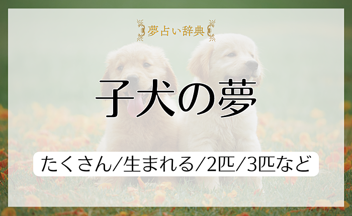 子犬の夢占いの意味と心理とは？たくさん/生まれる/2匹/3匹など