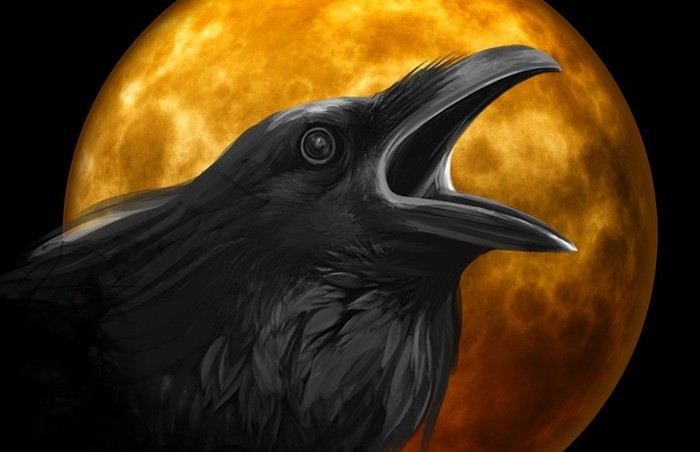 カラスが異常に鳴く時のスピリチュアルな意味とは？シーン別の意味もあわせて紹介