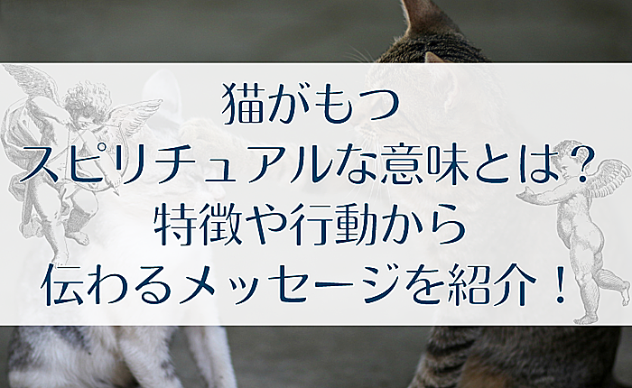 猫がもつスピリチュアルな意味とは？特徴や行動から伝わるメッセージを紹介！