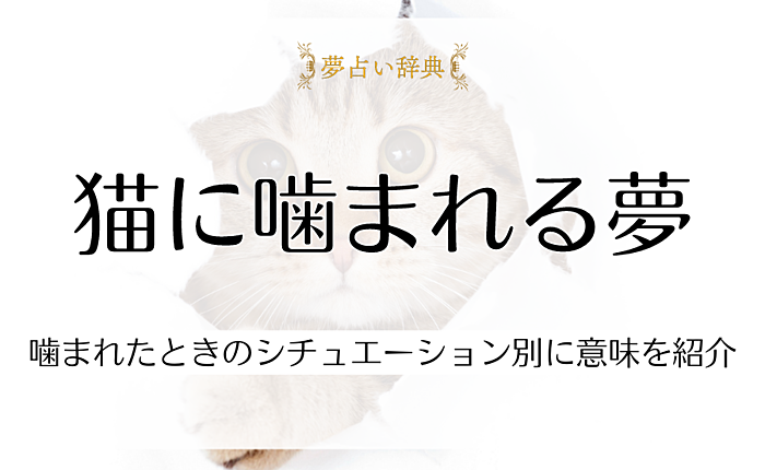 猫に噛まれる夢の意味とは？噛まれたときのシチュエーション別に意味を紹介