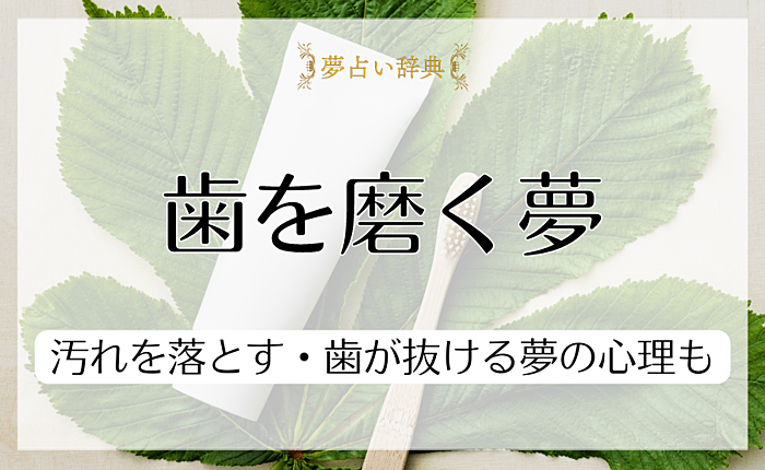 歯を磨く夢を見るのはなぜ？汚れを落とす・歯が抜ける夢の心理も
