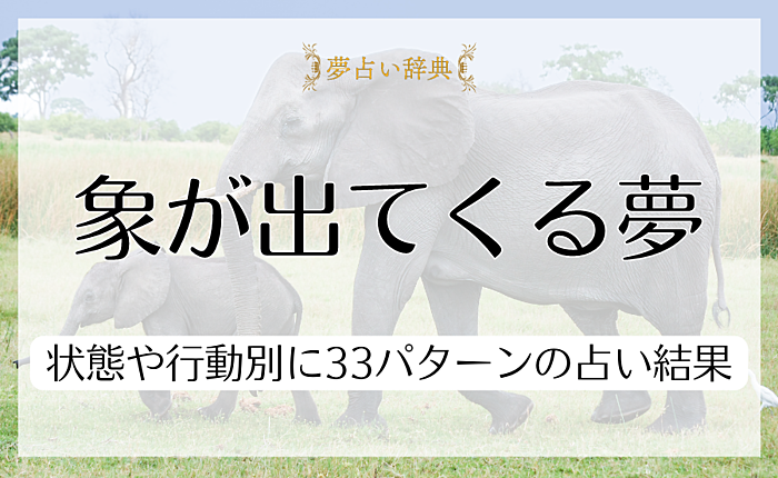 象が出てくる夢にはどんな意味がある？状態や行動別に33パターンの占い結果を紹介