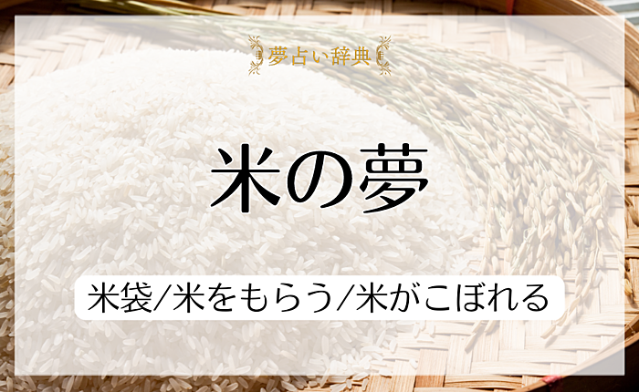 米の夢の意味と心理｜米袋/米をもらう/米がこぼれる【夢占い】